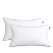 2 white pillow inserts on a white background