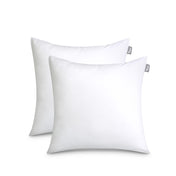 2 white pillow inserts on a white background