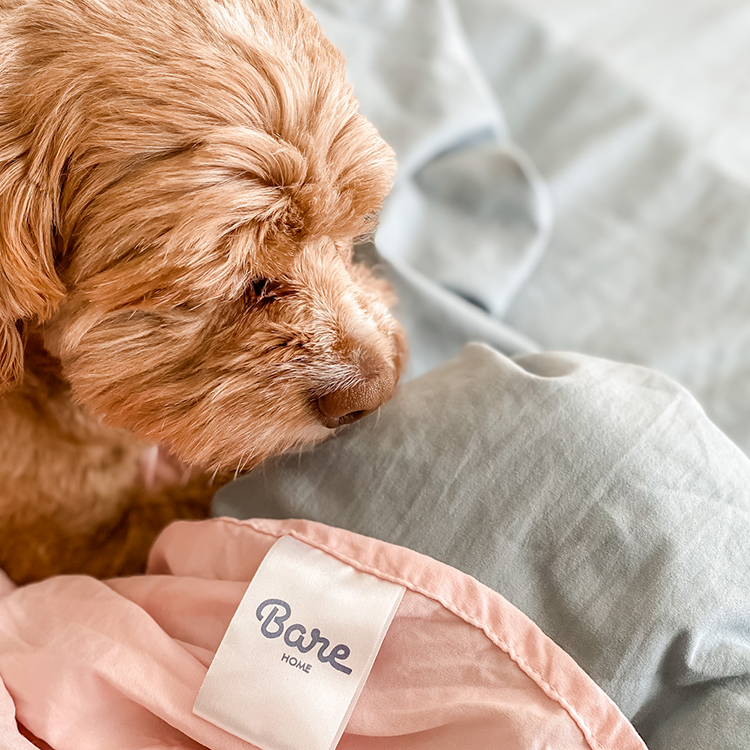 Woman lying on a tan pillow reading a book, digital gift card photo
