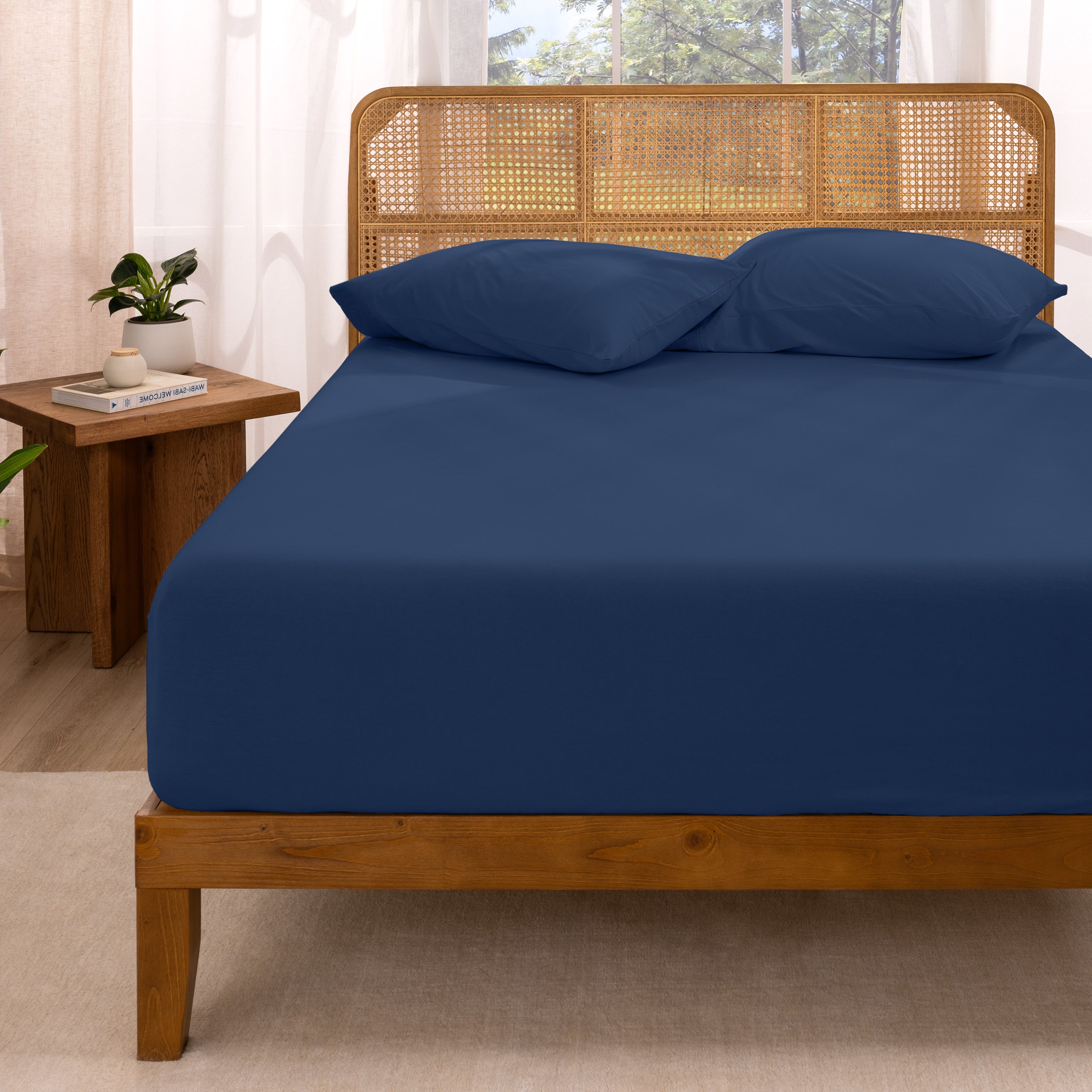 Bed with fitted sheet and pillows in a room with curtains and a plant.