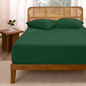 Bed with fitted sheet and pillows in a room with curtains and a plant.