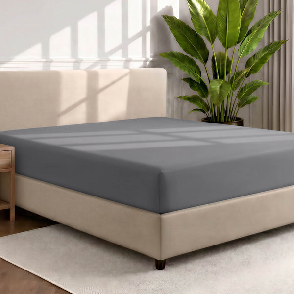 Bed with a fitted sheet in a room with a large plant and rug