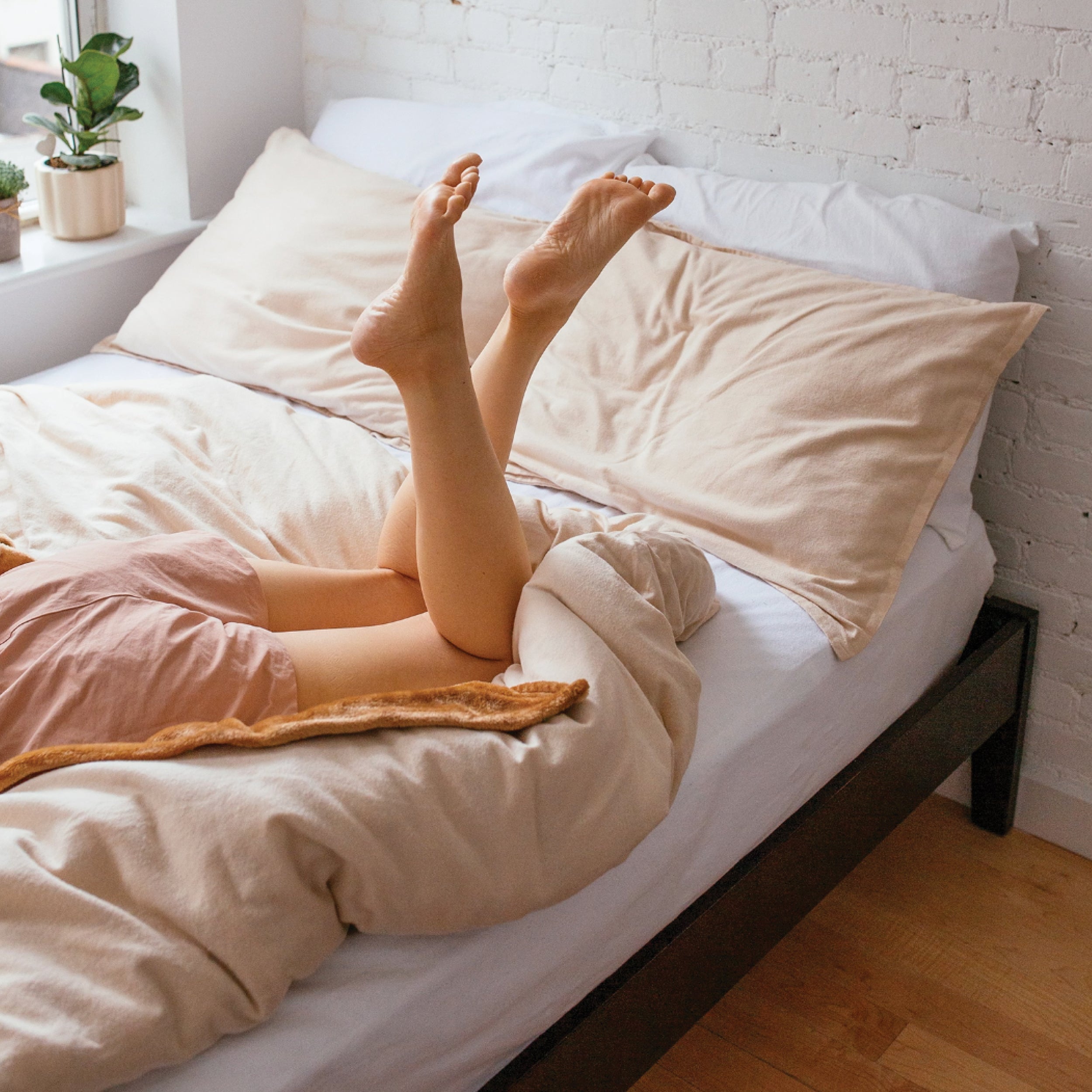 Images Extended Content Organic Cotton Jersey Duvet Set2