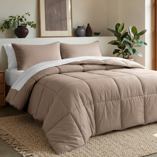 Comforter set on a bed in a bedroom with plants and decor.