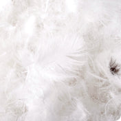 Close in view showing the 60% soft duck and goose down, and 40% feathers used in comforter