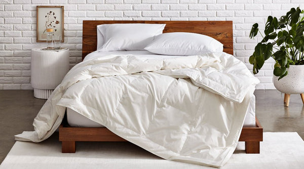 The Low-Down on Down - Bare Home