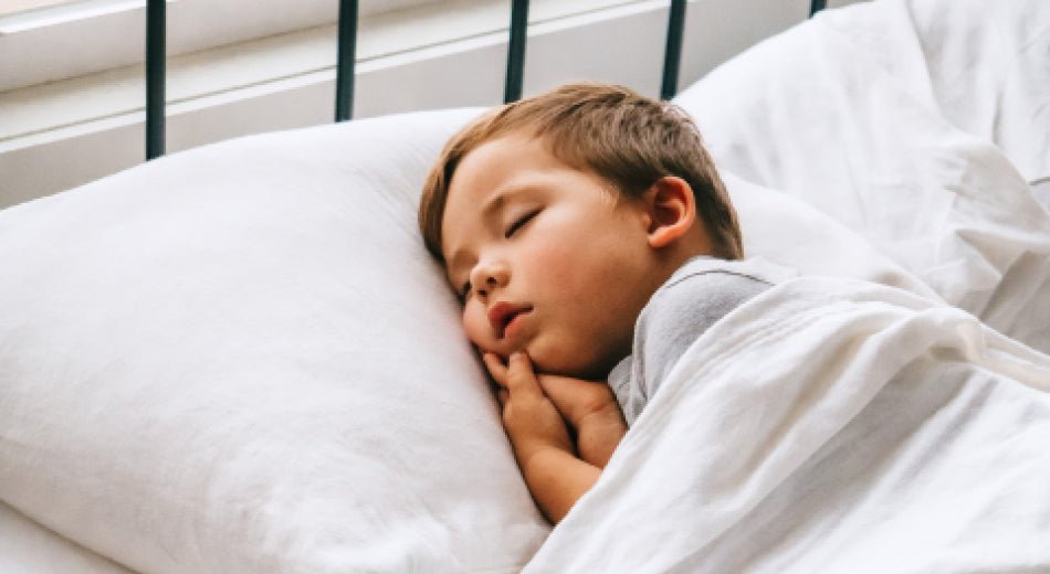 What Are Dreams, Anyway? A Quick Guide - Bare Home