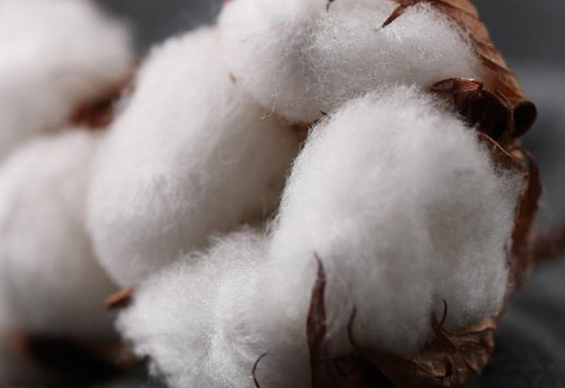 Organic Cotton FAQ - Bare Home