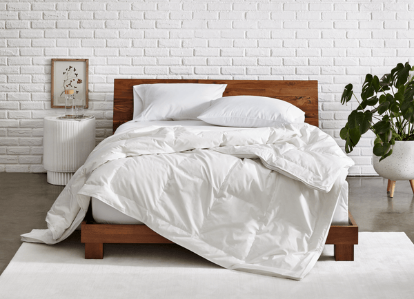 Which Is Right for You? Down vs Down-Alternative Comforters Compared - Bare Home