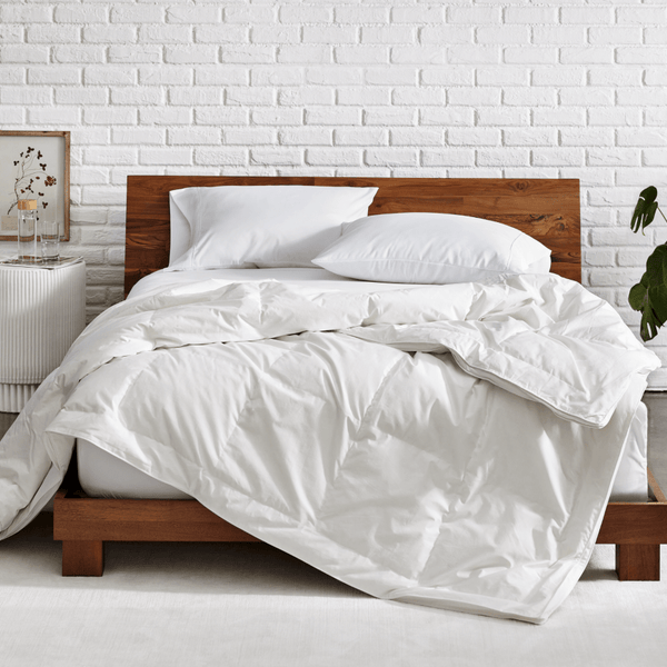 Which Is Right for You? Down vs Down-Alternative Comforters Compared - Bare Home