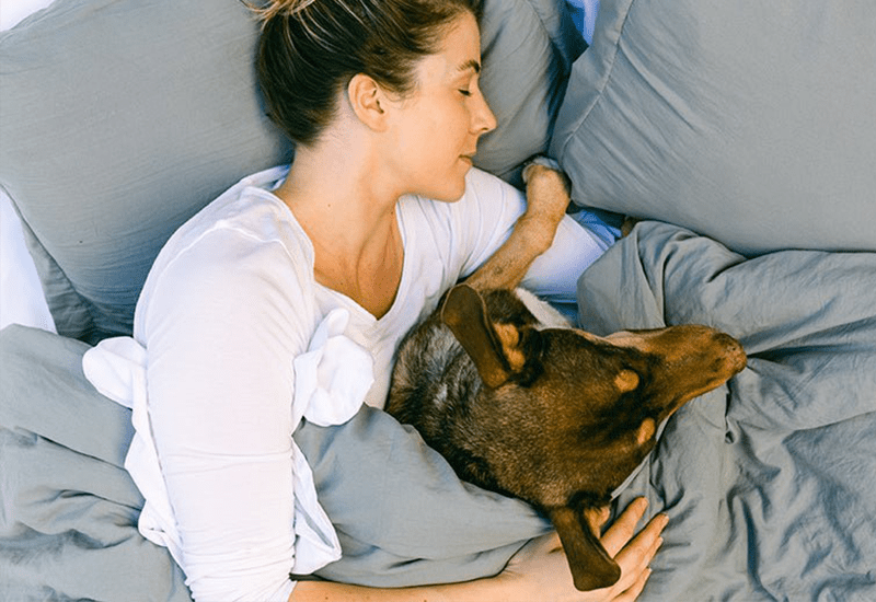 Is Sleeping with Pets Good for You? - Bare Home