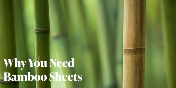 Why You Need Bamboo Sheets - Bare Home