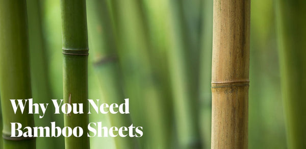 Why You Need Bamboo Sheets - Bare Home