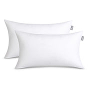 2 white pillow inserts on a white background
