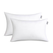 2 white pillow inserts on a white background