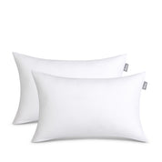 2 white pillow inserts on a white background