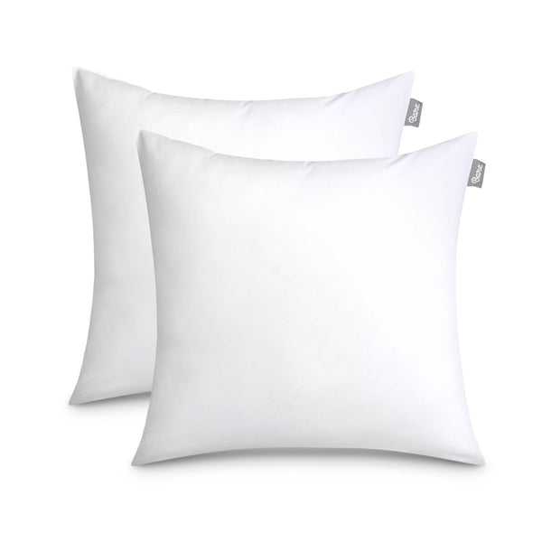 2 white pillow inserts on a white background