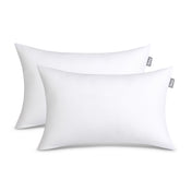 2 white pillow inserts on a white background