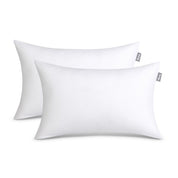 2 white pillow inserts on a white background