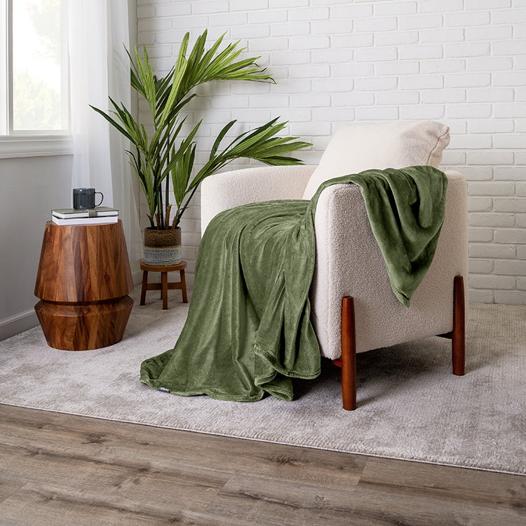 Chair with green Microplush Blanket draped over it, plant nearby