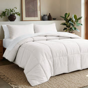 Comforter set on a bed in a bedroom with plants and decor.