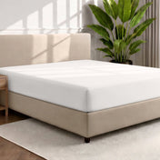 Bed with a fitted sheet in a room with a large plant and rug