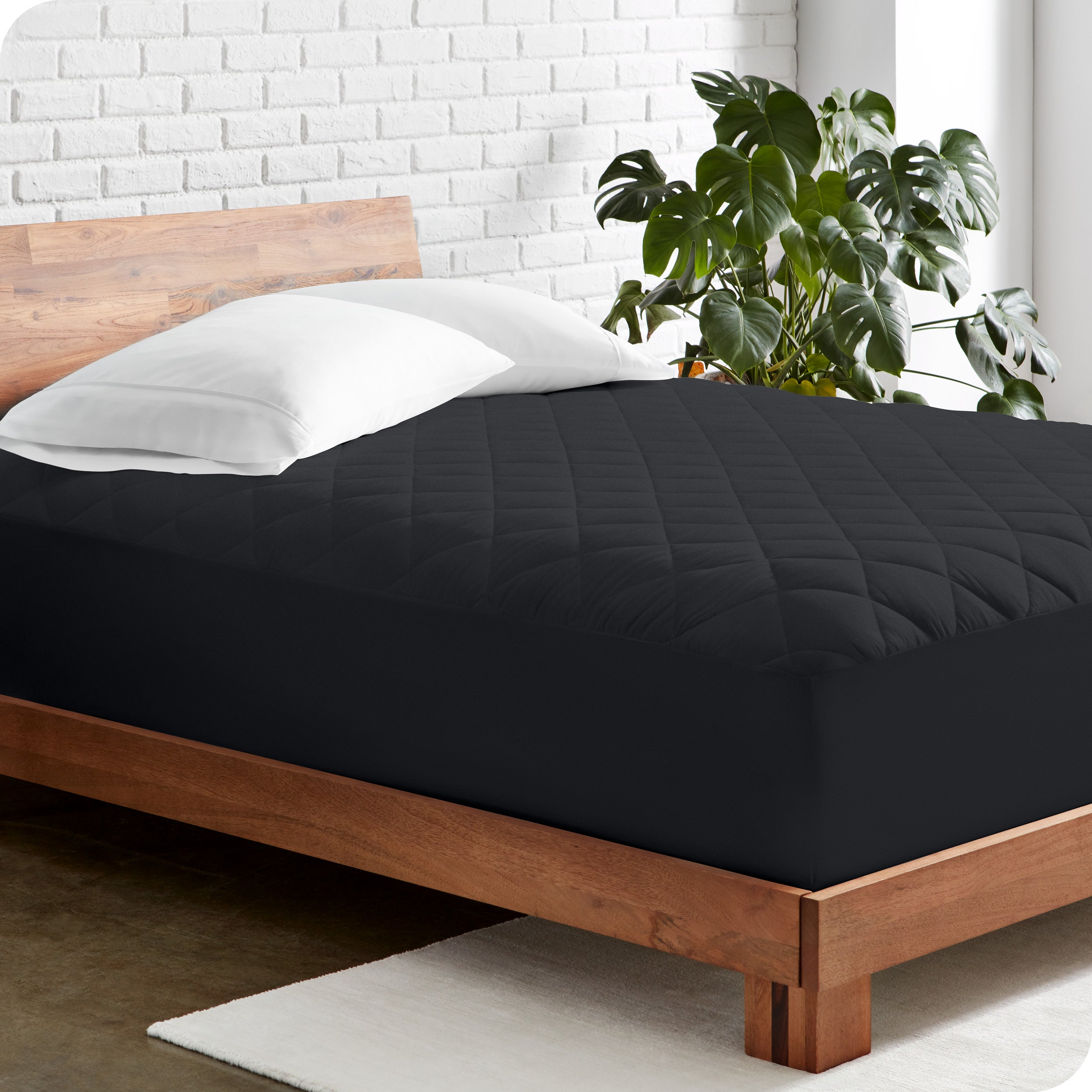 A diagonal view of a bed frame with mattress on it. There is a mattress pad on the mattress and 2 pillows on top of the mattress pad. A large plant is next to the bed. 