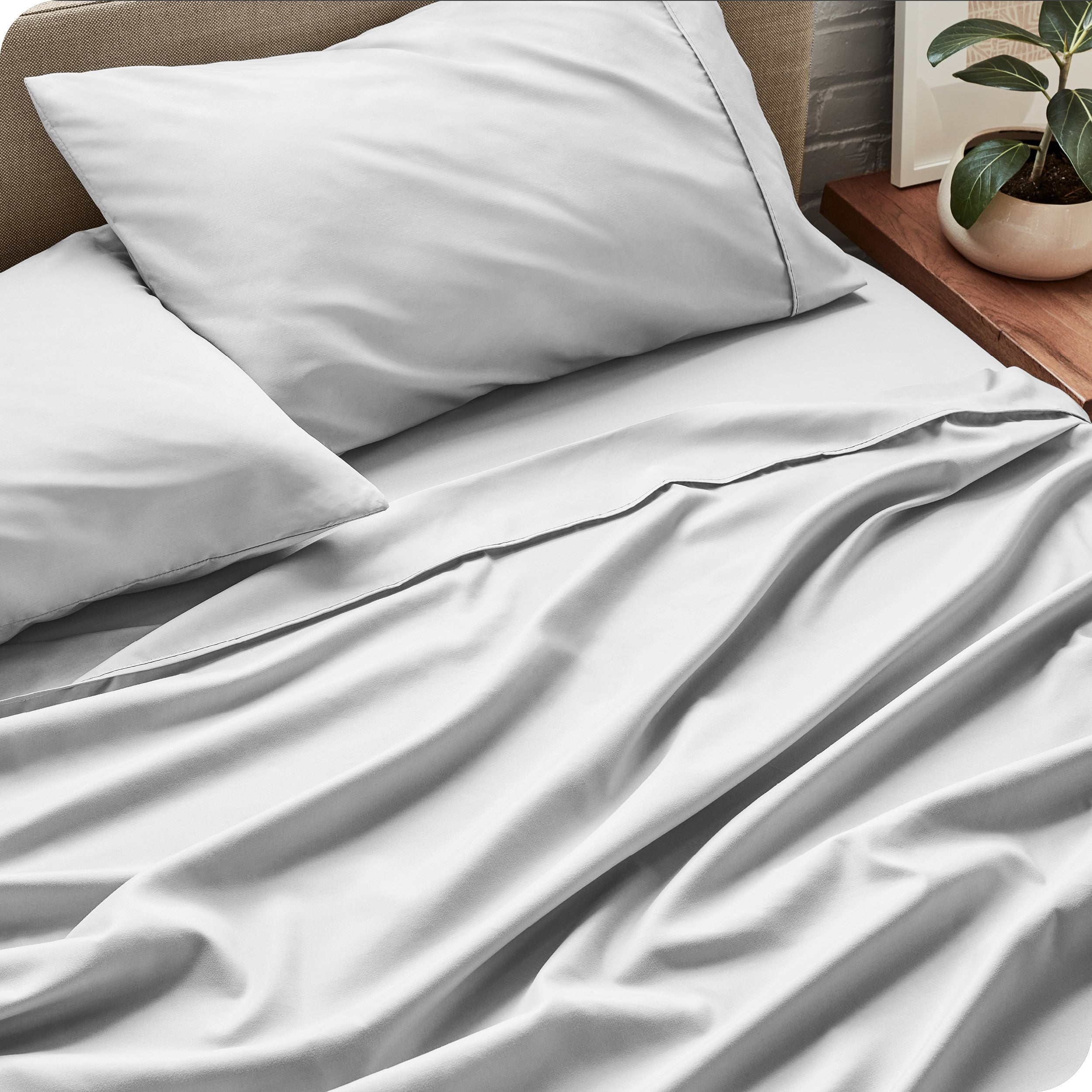 Bed sheets and pillows on a bed with a plant in the background