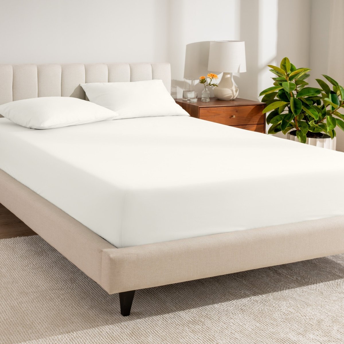 Fitted sheet on a bed in a bedroom setting with a lamp and plant.