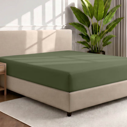 Bed with a fitted sheet in a room with a large plant and rug