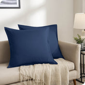 Two pillows on a beige couch in a living room setting.