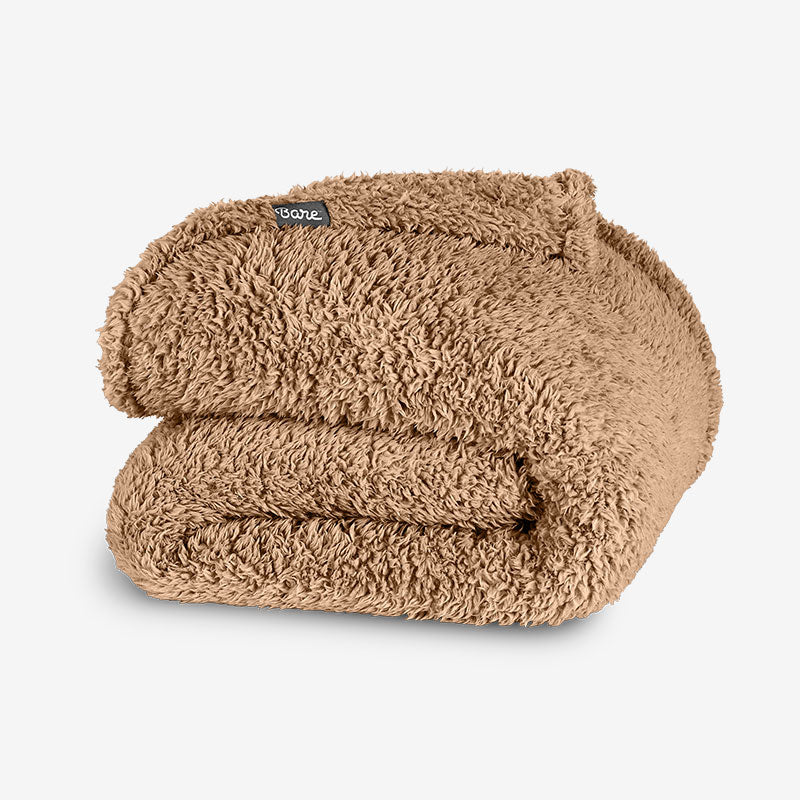 Double Sherpa Teddy Bear Colored Blanket