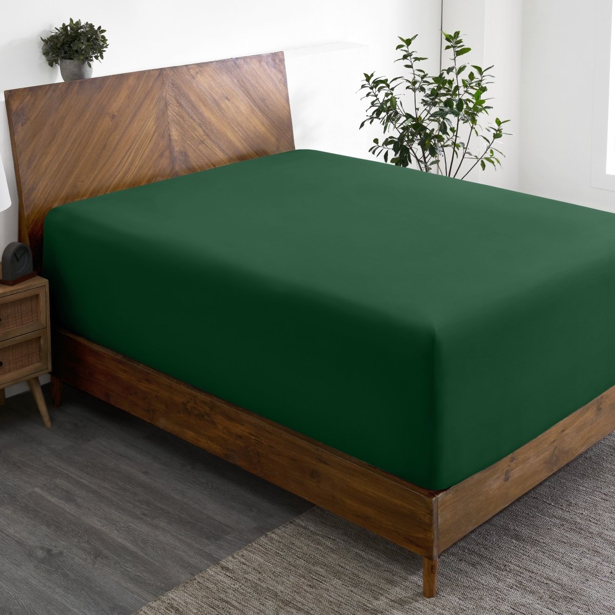 Wooden bed frame with a fitted sheet on the mattress in a room with plants and a nightstand.