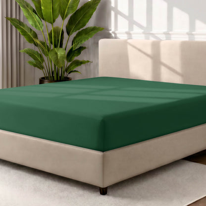 Bed with a fitted sheet in a room with a large plant and rug