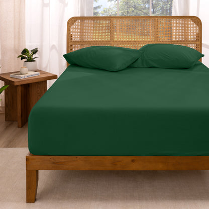Bed with fitted sheet and pillows in a room with curtains and a plant.