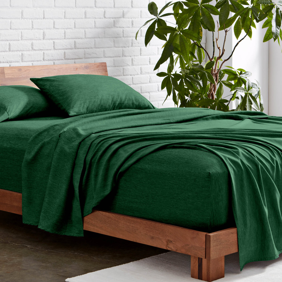 Microfiber sheet set on a wooden bed with a plant in the background