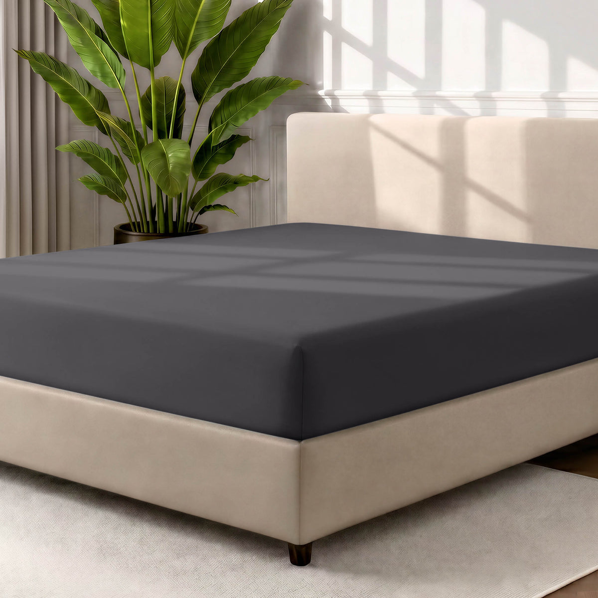 Bed with a fitted sheet in a room with a large plant and rug