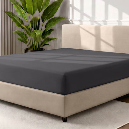 Bed with a fitted sheet in a room with a large plant and rug