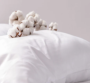 Organic Cotton