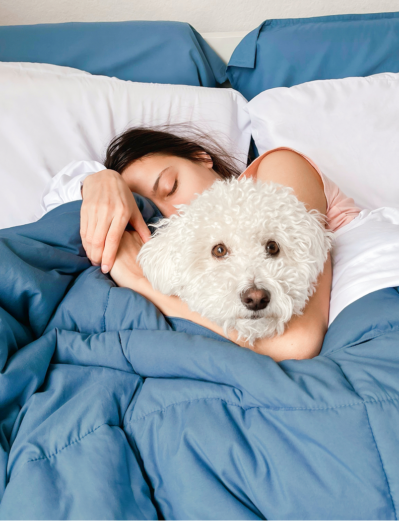 Dog resting on a bed with navy blue bedding review