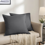 Two pillows on a beige couch in a living room setting.