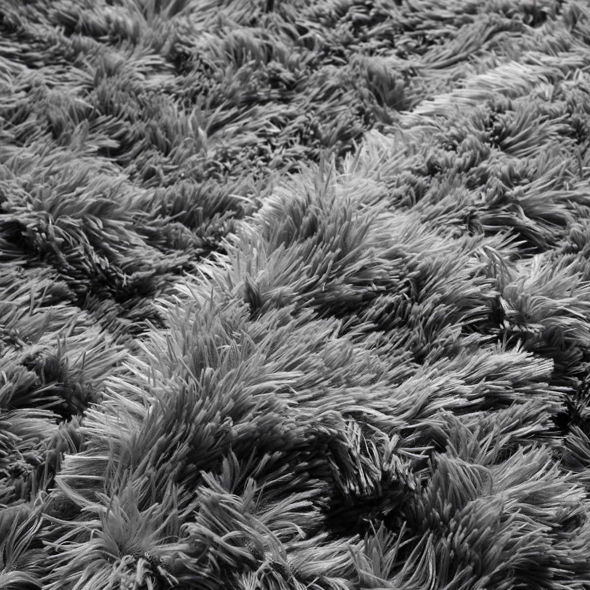 Close-up of a shaggy duvet cover