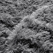Close-up of a shaggy duvet cover