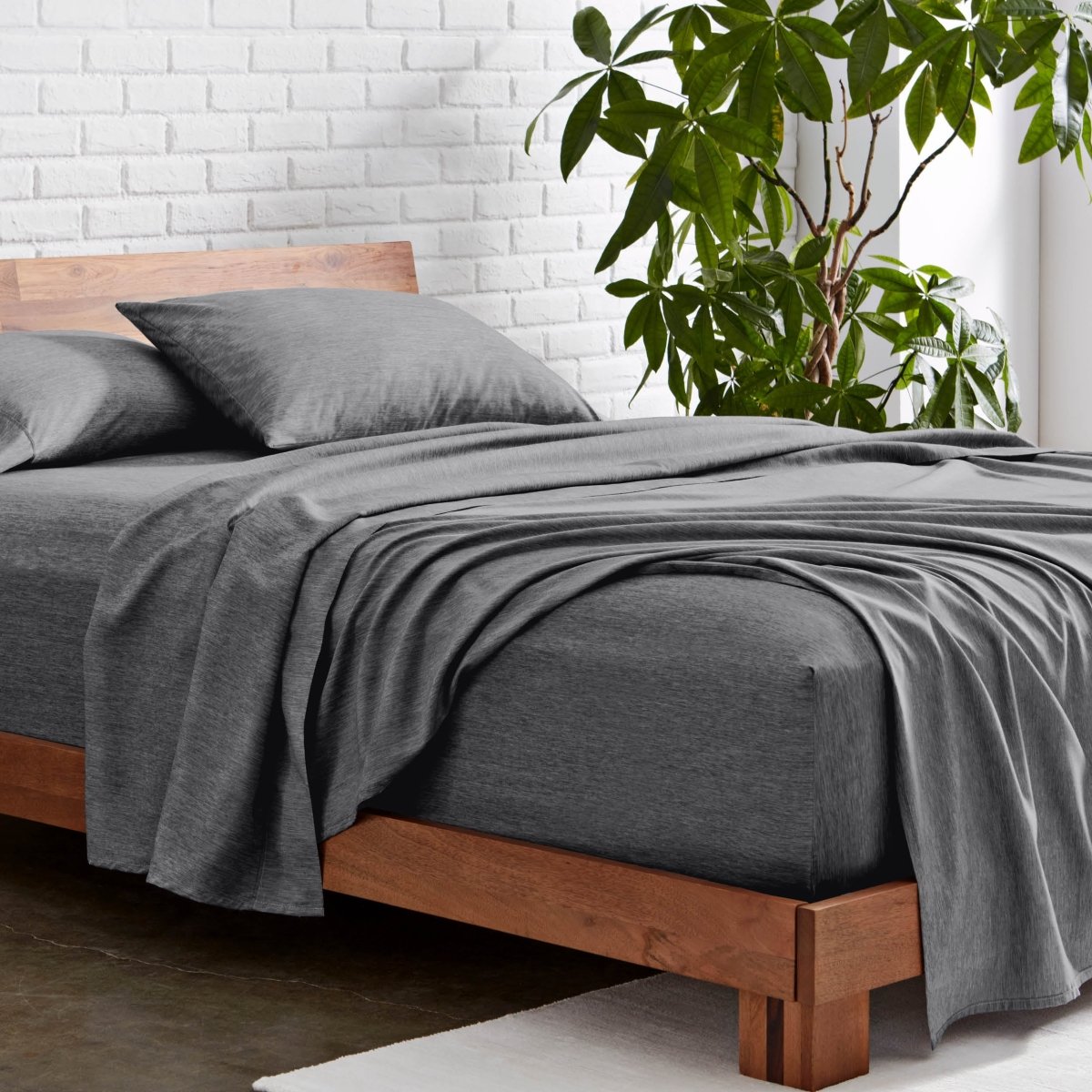 Microfiber sheet set on a wooden bed with a plant in the background