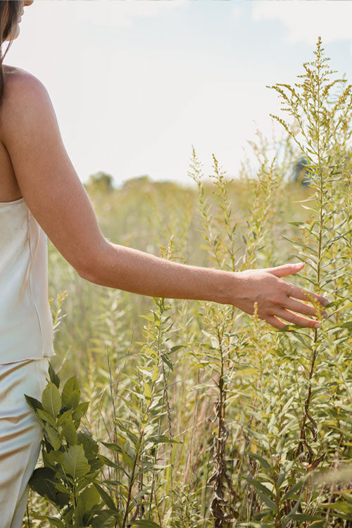 Bare Home Organics Mobile Header