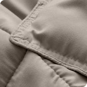 Down Alternative Box Stitch Comforter Set