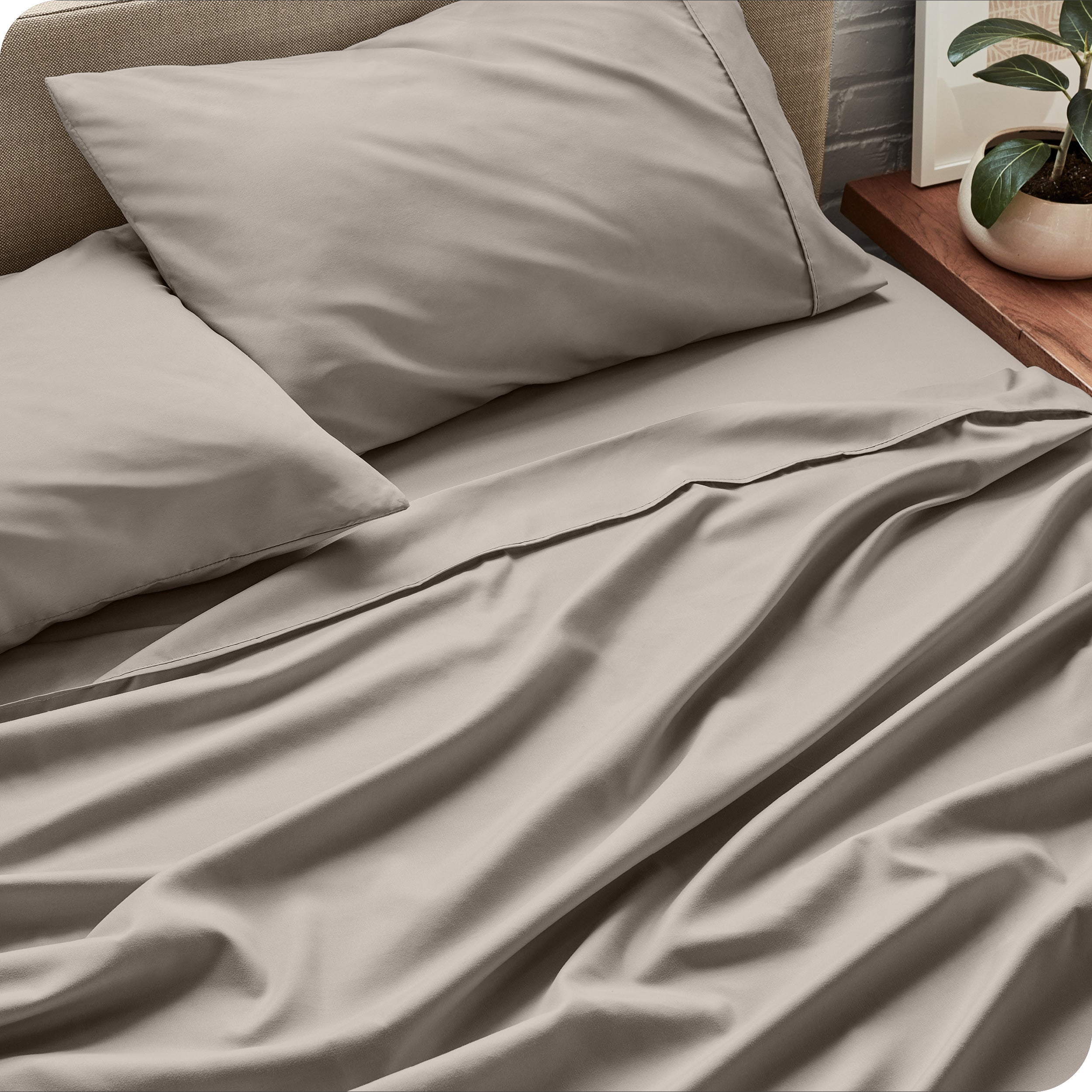 Sheet set on a bed with pillows and a plant in the background