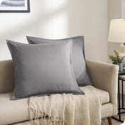 Two pillows on a beige couch in a living room setting.