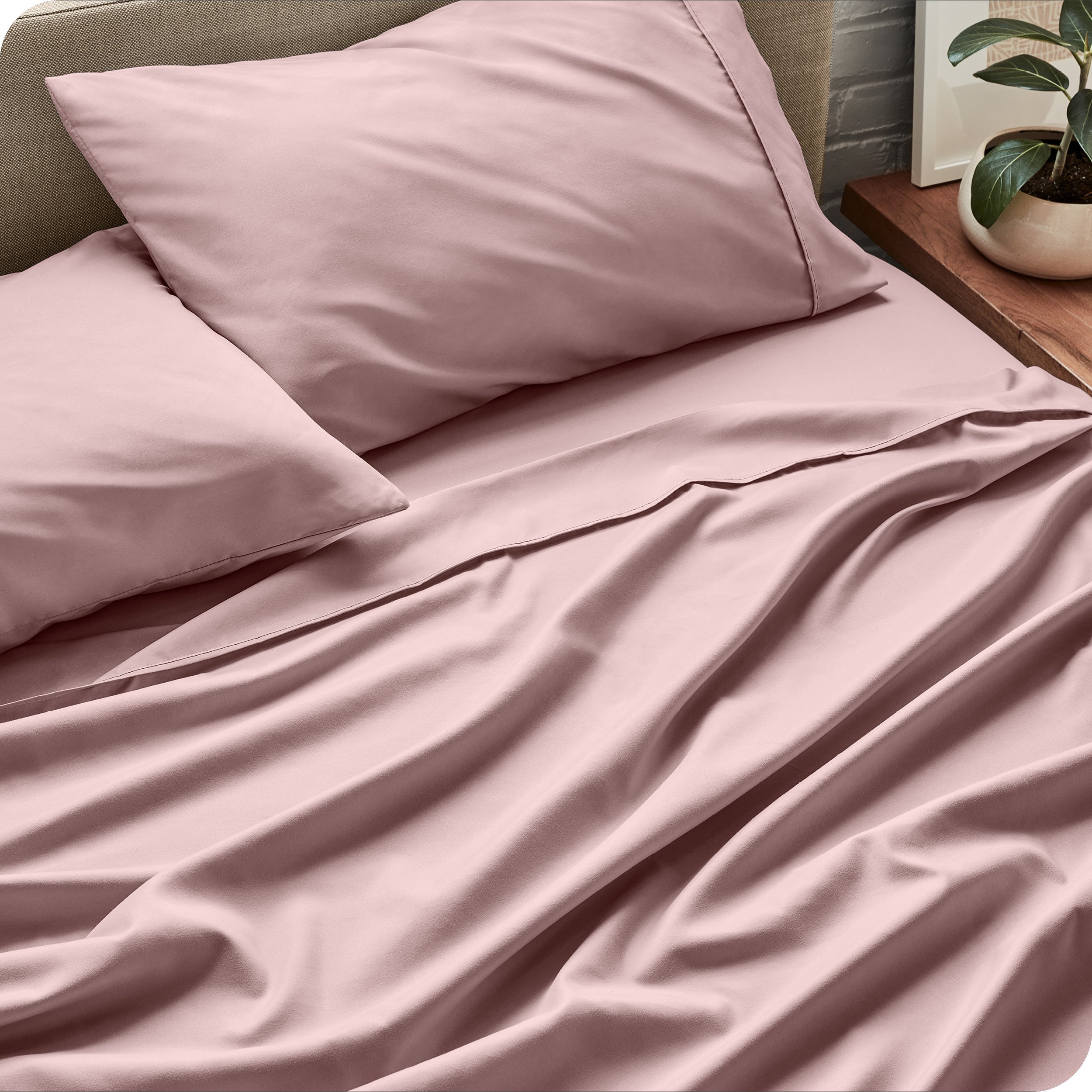 Sheet set on a bed with pillows and a plant in the background