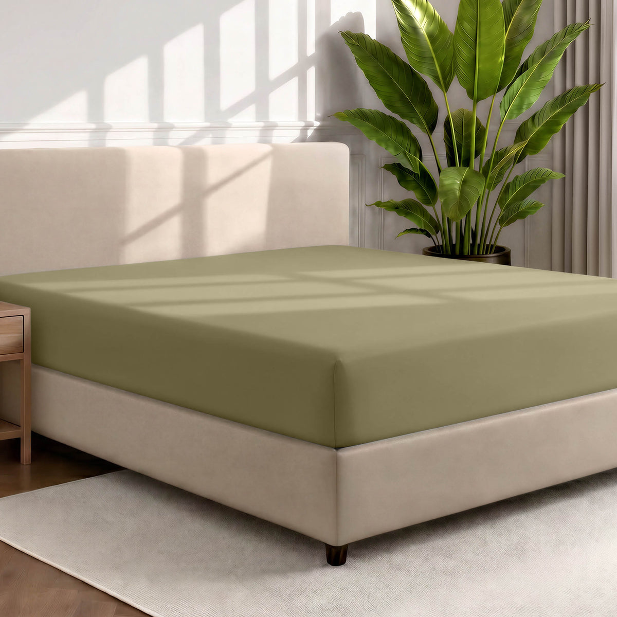 Bed with a fitted sheet in a room with a large plant and rug